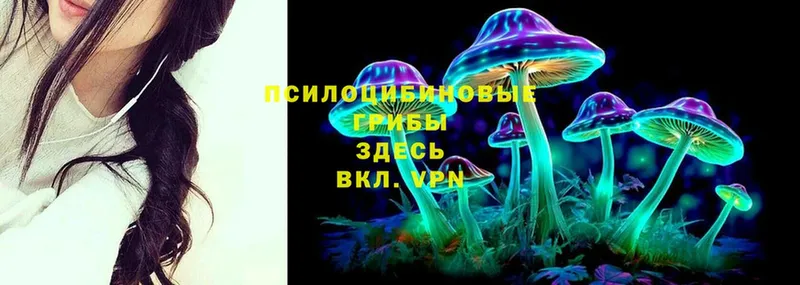 где найти наркотики  Ярцево  Галлюциногенные грибы MAGIC MUSHROOMS 